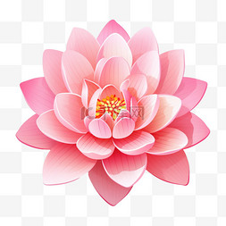 绽放笑容图片_粉红色的莲花和瑜伽花