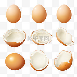 煎鸡蛋卷图片_白色背景矢量插图上分离出的整排
