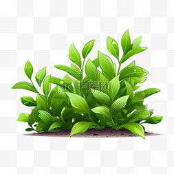 绿叶标志图片_茶树绿叶茶树萌芽