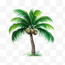 热带沙滩图片_一种热带棕榈树隔离贴纸模板