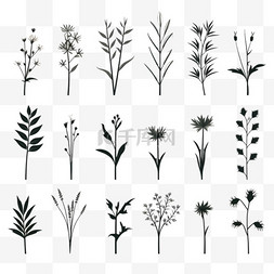 白色花饰图片_白底植物阴影模板集