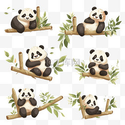 手绘卡通可爱熊猫在竹子上玩耍2