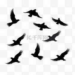 飞翔的鸽图片_一群飞翔的鸟儿。飞鸟剪影、孤立