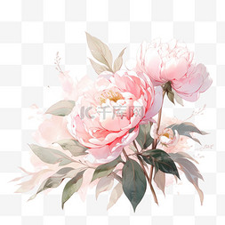 牡丹花粉色图片_国庆节牡丹花粉色手绘元素
