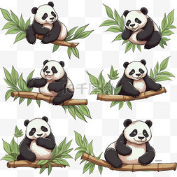 手绘卡通可爱熊猫在竹子上玩耍4