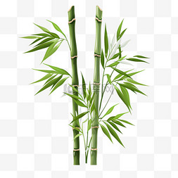 异国风情图片_绿色天然热带植物背景，竹茎和竹