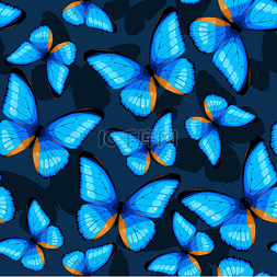 蓝色的蝴蝶无缝
