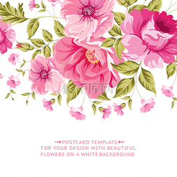 华丽的粉色花卉装饰与文本标签.