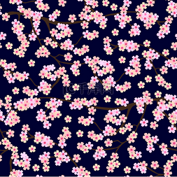 樱花盛开在日本的花园里。盛开的