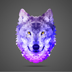 poly图片_Wolf low poly Side light purple