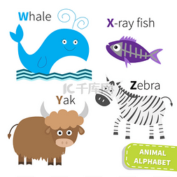 儿童英语海图片_字母 W X Y Z 动物园