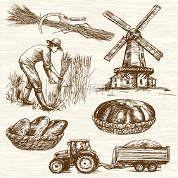 农民收割图片_农民收割小麦。手绘集合.
