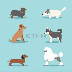临床兽医图片_组的狗。卡通矢量图。兽医临床