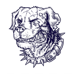 dog图片_Vector illustration of evil mad dog