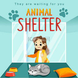 help图片_Animal Shelter design poster with child, cat 