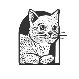 猫在猫屋草图上刻有矢量图解.T恤
