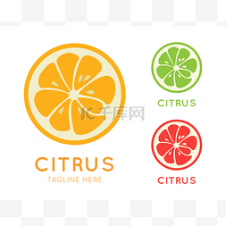 Kinds of citrus stylish icon. Juicy fruit log