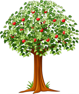 青苹果树充满孤立的红苹果