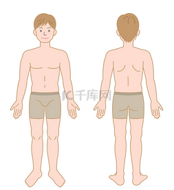 站立的男性身体的正面和后面看法