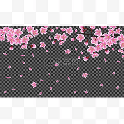 down图片_Sakura tree branch with falling petals on dar