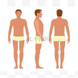 标尺尺度图片_男性解剖人物性格，男性人物形象