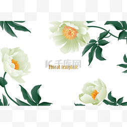 花卉卡豪华图案。精致柔和的白色