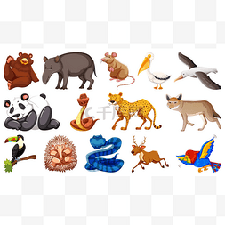 Set of different wild animals cartoon charact
