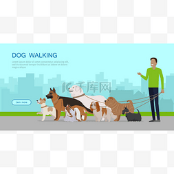 狗走横幅。老人走路与小狗