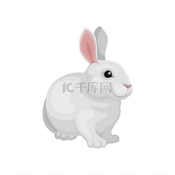 家养兔子图片_可爱的兔子的平面矢量设计。可爱