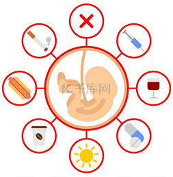 胚胎图片_怀孕胚胎禁用产品