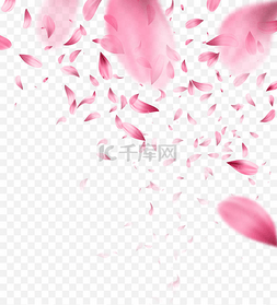 粉红色樱花飘落的花瓣背景。矢量