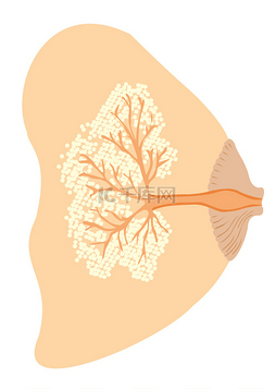 妈妈母乳喂养的婴儿，不同喷嘴。