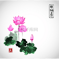 莲花花手绘与墨水