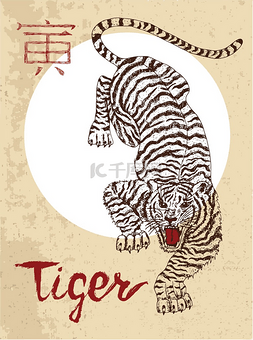 十二生肖的老虎的象征 