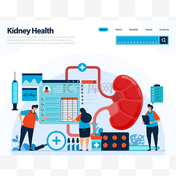 注册登陆图片_用于检查肾功能的图解。肾病和肾