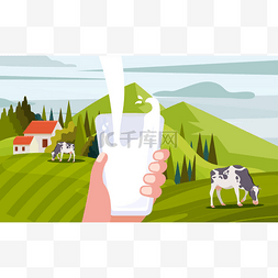 奶牛在吃草图片_来自农场概念的牛奶