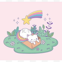 cute cat with rainbow tail in carton box kawa
