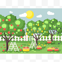 绿色水果背景图片_矢量图卡通收获成熟的水果秋天果