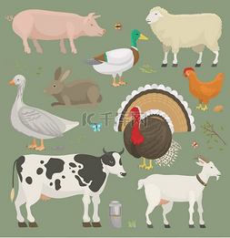 绵羊背景图片_不同的家庭农场载体动物和鸟象牛