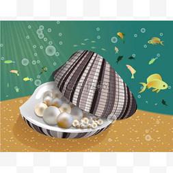 珍珠和贝壳图片_贝壳与珍珠里面在沙子在海, 在漂