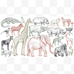 犀牛矢量图图片_雕刻的非洲动物.