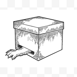 手绘动物爪子图片_猫动物在箱子里用爪子捕捉从孔素
