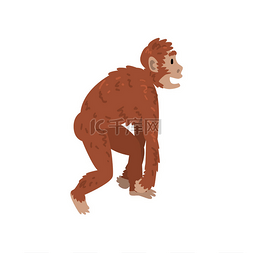 类人猿猴, Driopitek, 生物人类进化