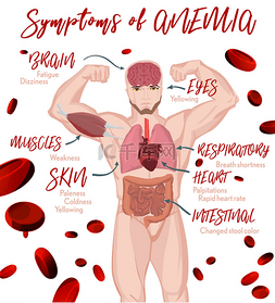 贫血红细胞图片_贫血症状海报