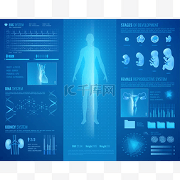 矢量心脏图解图片_医用显示器接口