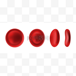 在白色背景上分离的红细胞或红血