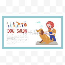 美容店店内图片_可爱的狗在美容师沙龙。宠物美发