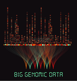 大基因组数据可视化- DNA测试，条