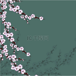日本樱花背景图片_日本樱花粉色背景上的插图