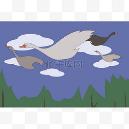 鹅天鹅白色灰色与红色喙飞行通过